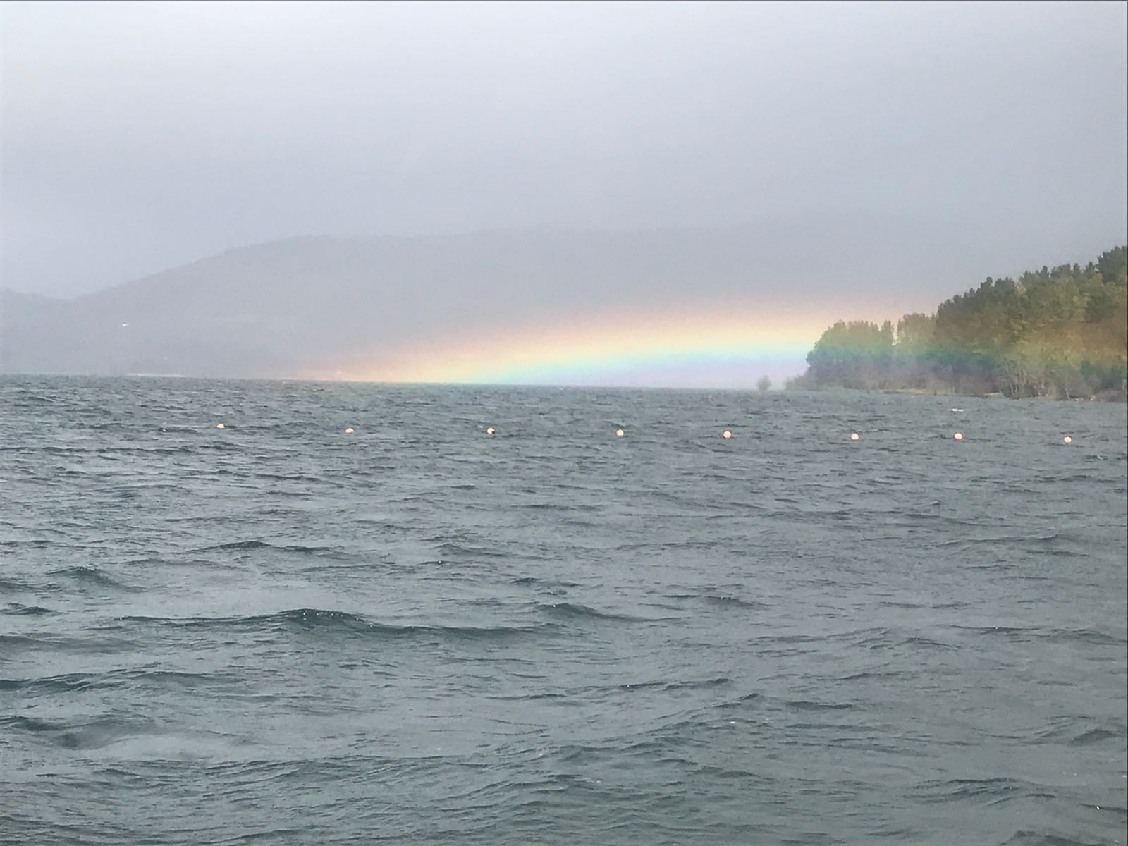 Regata Trofeo C. N. Aldayeta